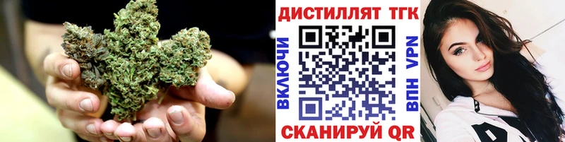 Купить где Торжок ТГК гашишное масло
