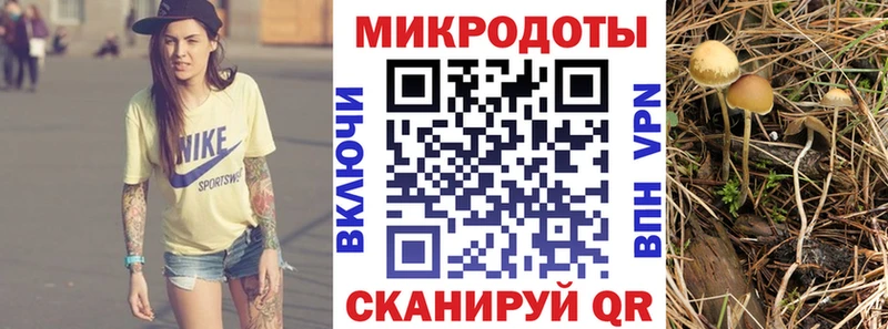 Псилоцибиновые грибы мицелий Купить закладки Торжок